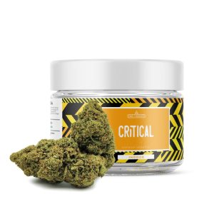 Critical CBD - CBD Shop Online for Cannabis and Legal Herb - CBD Therapy