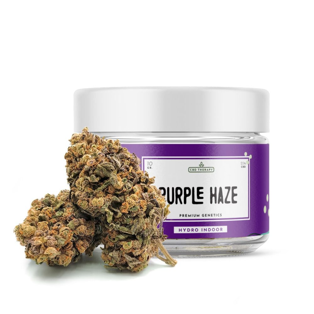 Purple Haze - CBD Shop Online for Cannabis and Legal Weed - CBD Therapy
